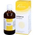 JUNIPERUS SIMILIAPLEX Mischung – Bild 3