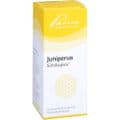 JUNIPERUS SIMILIAPLEX Mischung – Bild 5