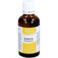 JUNIPERUS SIMILIAPLEX Mischung – Bild 6