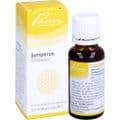 JUNIPERUS SIMILIAPLEX Mischung – Bild 4