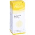 JUNIPERUS SIMILIAPLEX Mischung – Bild 5