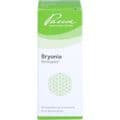 BRYONIA SIMILIAPLEX Mischung – Bild 1