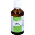 BRYONIA SIMILIAPLEX Mischung – Bild 5