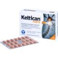 KELTICAN forte Kapseln – Bild 2
