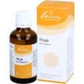 THUJA SIMILIAPLEX Mischung – Bild 1
