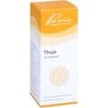THUJA SIMILIAPLEX Mischung – Bild 3