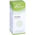 QUASSIA SIMILIAPLEX Mischung – Bild 6