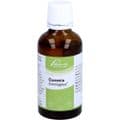 QUASSIA SIMILIAPLEX Mischung – Bild 6