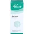 BERBERIS SIMILIAPLEX Mischung – Bild 1
