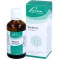 BERBERIS SIMILIAPLEX Mischung – Bild 2