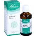 BERBERIS SIMILIAPLEX Mischung – Bild 3