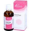 CIMICIFUGA SIMILIAPLEX Mischung – Bild 2