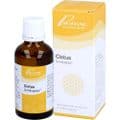 CISTUS SIMILIAPLEX Mischung – Bild 2