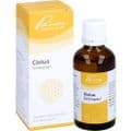 CISTUS SIMILIAPLEX Mischung – Bild 3