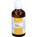 CISTUS SIMILIAPLEX Mischung – Bild 5