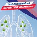 MUCOSOLVAN 1mal täglich Retardkapseln – Bild 7