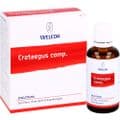 CRATAEGUS COMP.Dilution – Bild 3