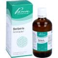 BERBERIS SIMILIAPLEX Mischung – Bild 3