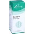 BERBERIS SIMILIAPLEX Mischung – Bild 5