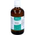 BERBERIS SIMILIAPLEX Mischung – Bild 6