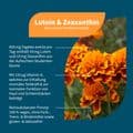 LUTEIN & ZEAXANTHIN Kapseln – Bild 2