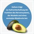 KALIUM KAPSELN – Bild 3