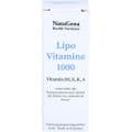 LIPOVITAMINE 1000 Öl – Bild 2