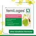 FEMILOGES magensaftresistente Tabletten – Bild 7