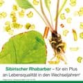 FEMILOGES magensaftresistente Tabletten – Bild 9