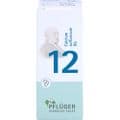 BIOCHEMIE Pflüger 12 Calcium sulfuricum D 6 Glob. – Bild 2