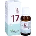 BIOCHEMIE Pflüger 17 Manganum sulfuricum D 12 Gl. – Bild 1