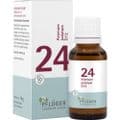 BIOCHEMIE Pflüger 24 Arsenum jodatum D 12 Globuli – Bild 1