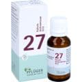 BIOCHEMIE Pflüger 27 Kalium bichromicum D 12 Glob. – Bild 1