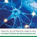 NEUROLOGES concept Kapseln – Bild 9