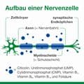 NEUROLOGES concept Kapseln – Bild 10