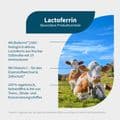 LACTOFERRIN Kapseln – Bild 2