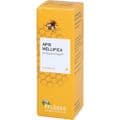 APIS MELLIFICA D 6 Globuli Pflüger Globulispender – Bild 5