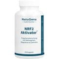 NRF2 Aktivator Grüntee+Curcuma+Quercetin vegan Kps – Bild 1