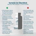 NRF2 Aktivator Grüntee+Curcuma+Quercetin vegan Kps – Bild 4