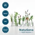 NRF2 Aktivator Grüntee+Curcuma+Quercetin vegan Kps – Bild 5