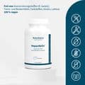 HEPARAKTIV SOD+Bio-Mariendistel+Bio-Koriander Kps. – Bild 3