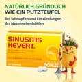 SINUSITIS HEVERT Tabletten – Bild 8