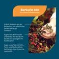 BERBERIN 500 Myo-Inositol & Piperin vegan Kapseln – Bild 2