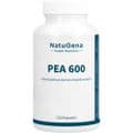 PEA 600 Palmitoylethanolamid vegan Kapseln – Bild 1