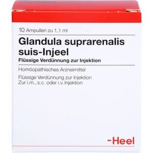 GLANDULA SUPRARENALIS suis Injeel Ampullen