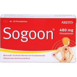 SOGOON 480 mg Filmtabletten