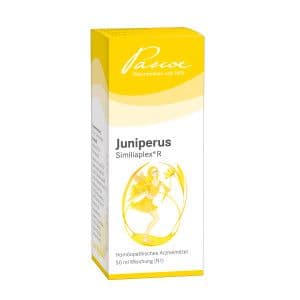 JUNIPERUS SIMILIAPLEX Mischung