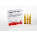 NEYCAL Nr.98 D 7 Ampullen – Bild 1