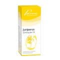 JUNIPERUS SIMILIAPLEX Mischung – Bild 1