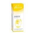 JUNIPERUS SIMILIAPLEX Mischung – Bild 1